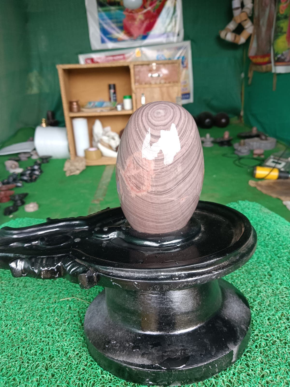 Tall oval Narmadeshwar Shivling with natural cream and grey banding on a black stone jaldhara base