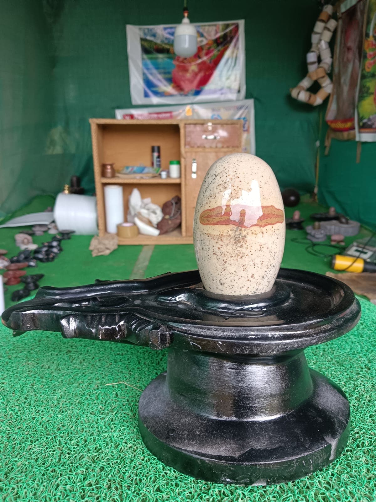 Cream-white Narmadeshwar Shivling with fine grey veining, on a black stone base against a green backdrop