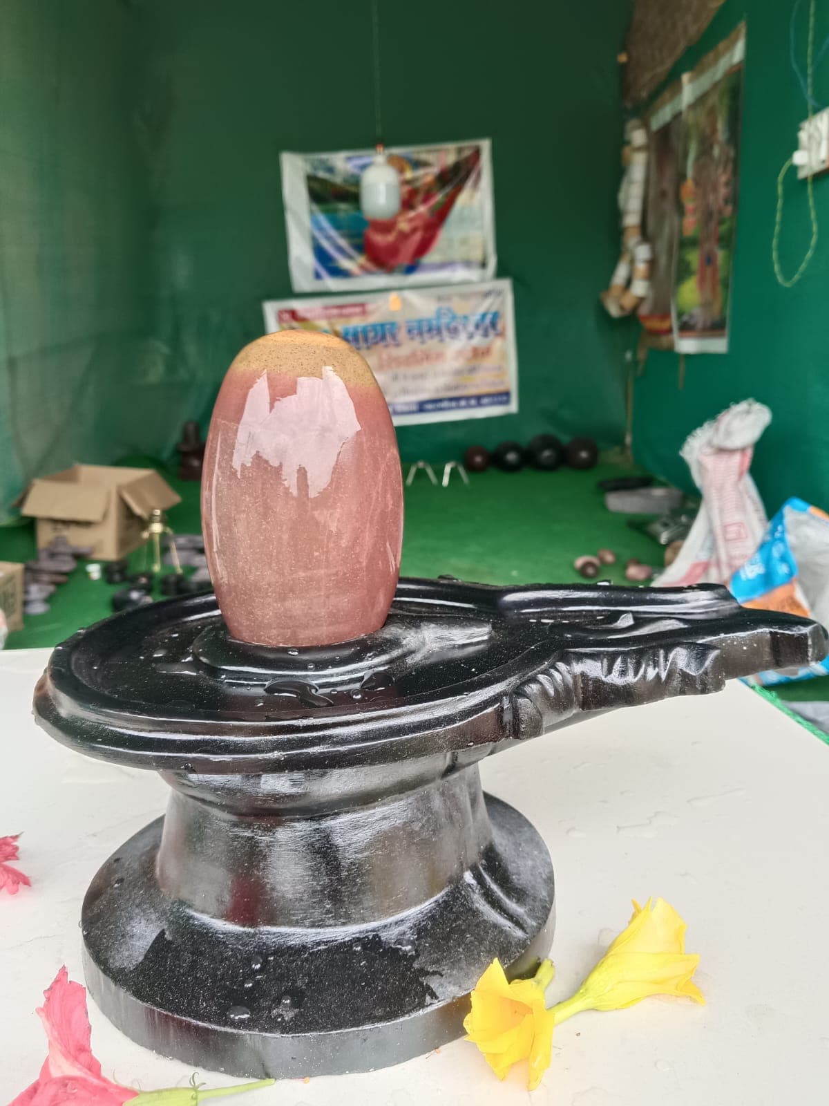 Terracotta-toned Narmadeshwar Shivling on a black yoni pitha with yellow flower offerings