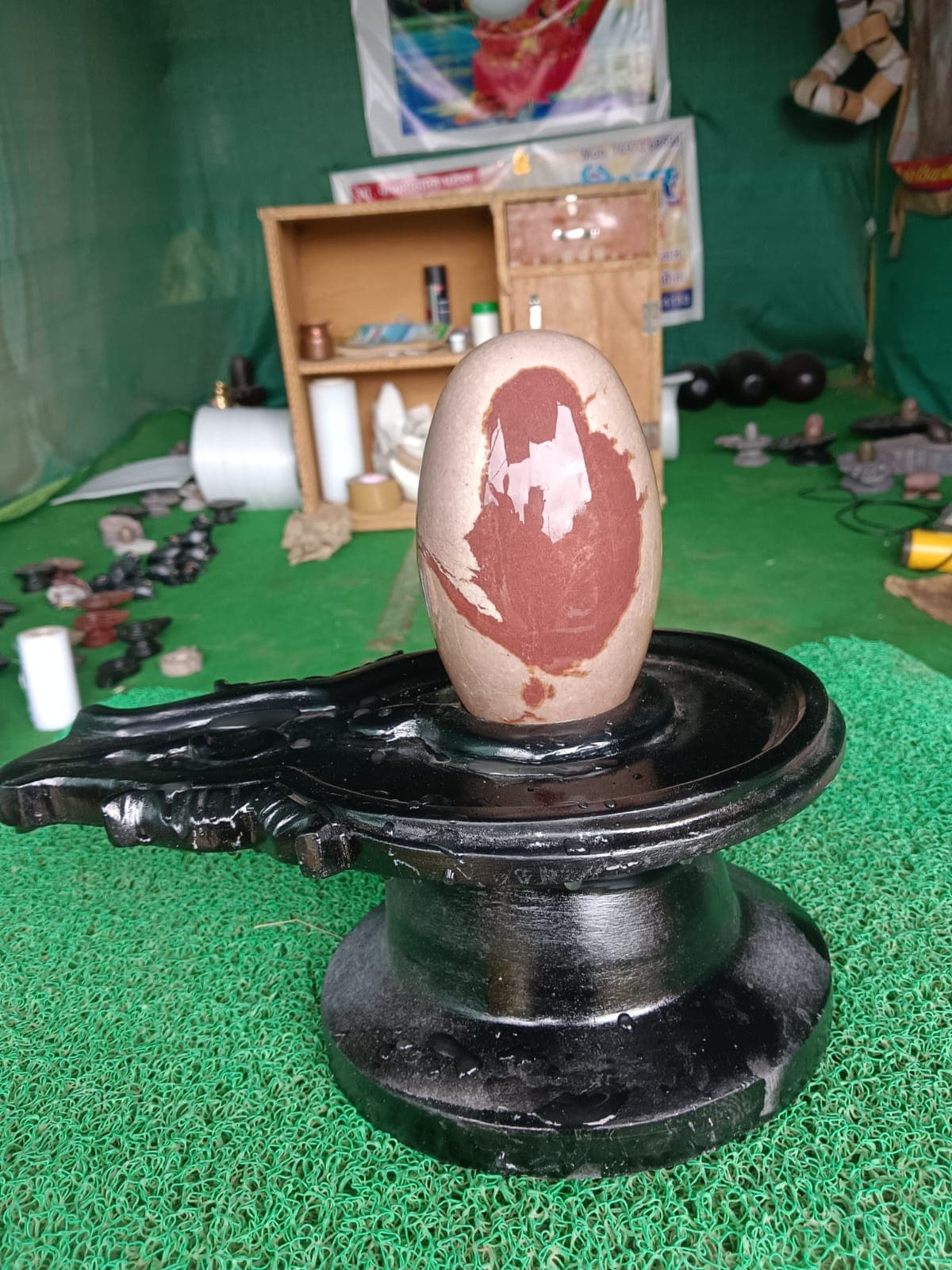 Reddish-brown Narmadeshwar Shivling with bold cream markings, on a polished black yoni pitha