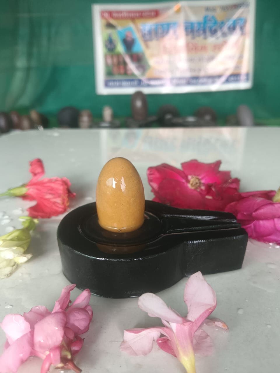 Small amber Narmadeshwar Shivling on a flat black yoni pitha, surrounded by pink and red flower petals