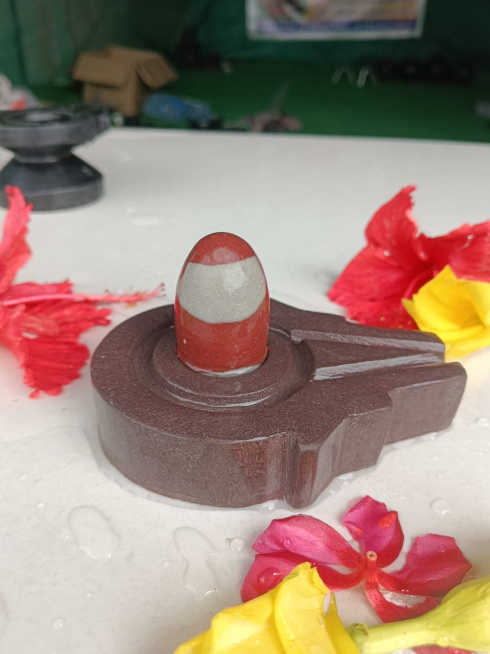 White and red banded Narmadeshwar Shivling on a maroon marble yoni pitha surrounded by fresh flowers