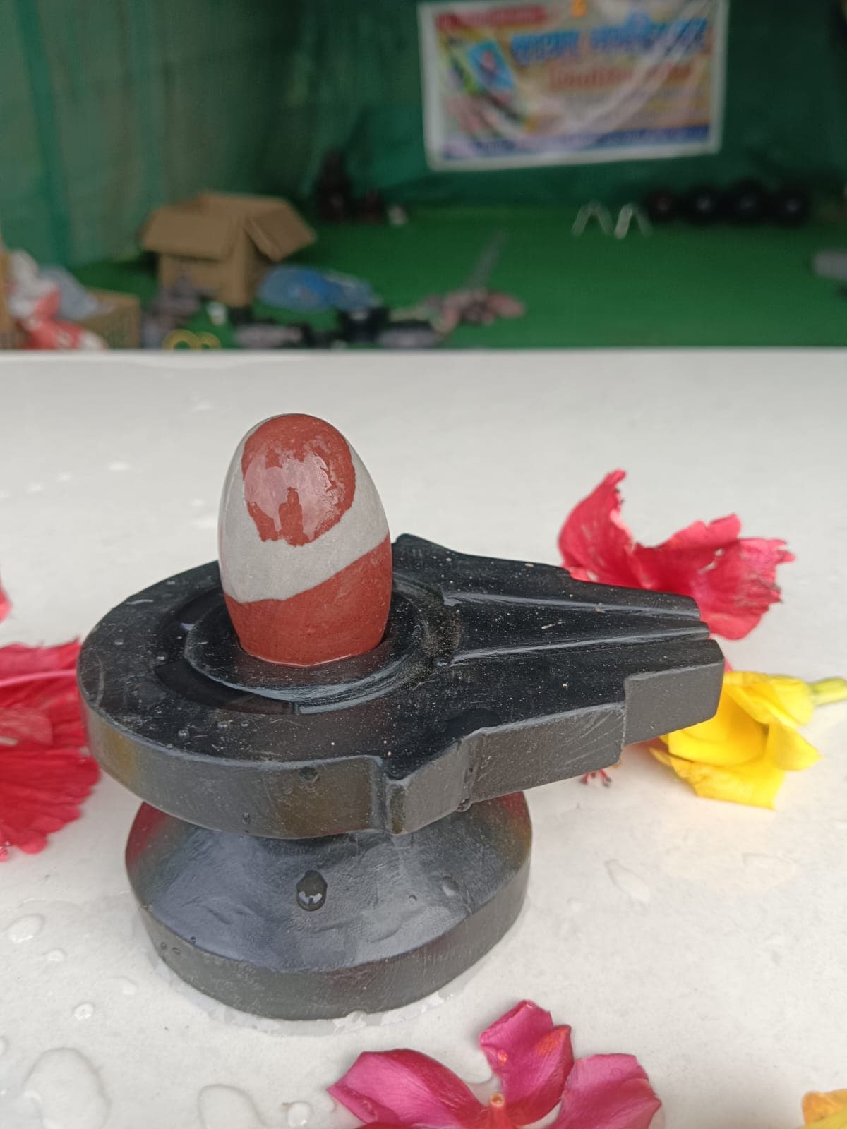 Cream Narmadeshwar Shivling with a deep red cap on a black stone base, red and yellow flowers around it
