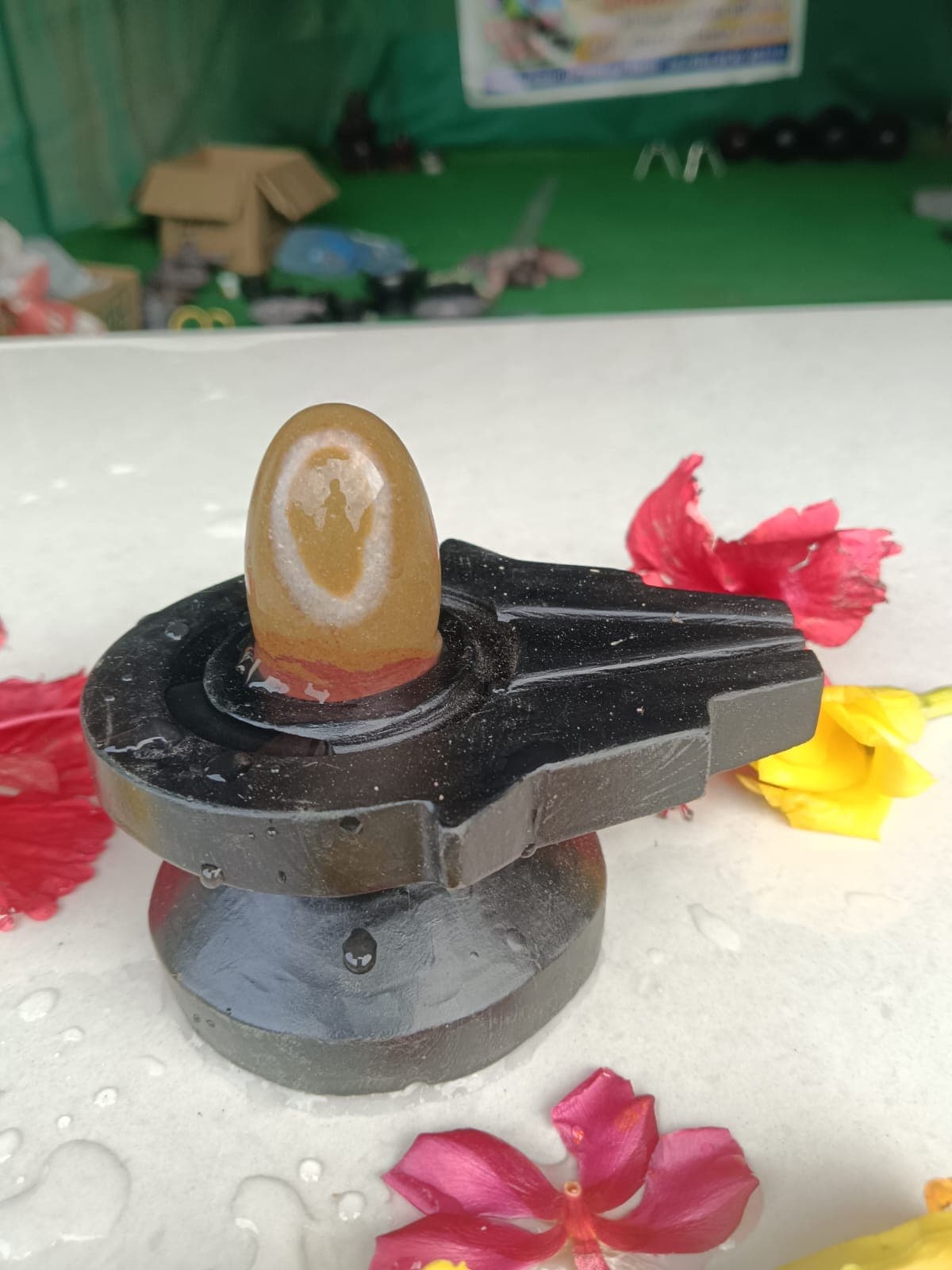 Translucent amber Narmadeshwar Shivling with a natural eye marking on a black granite yoni pitha