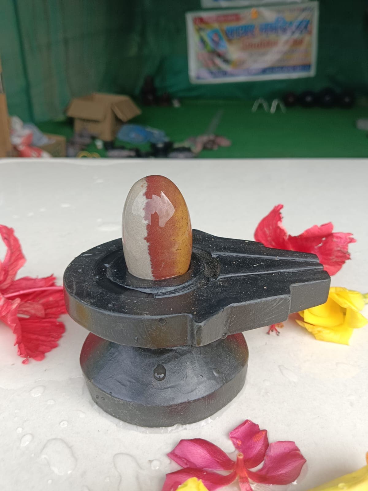 Narrow cream Narmadeshwar Shivling with a red vertical marking on a black granite jaldhara base