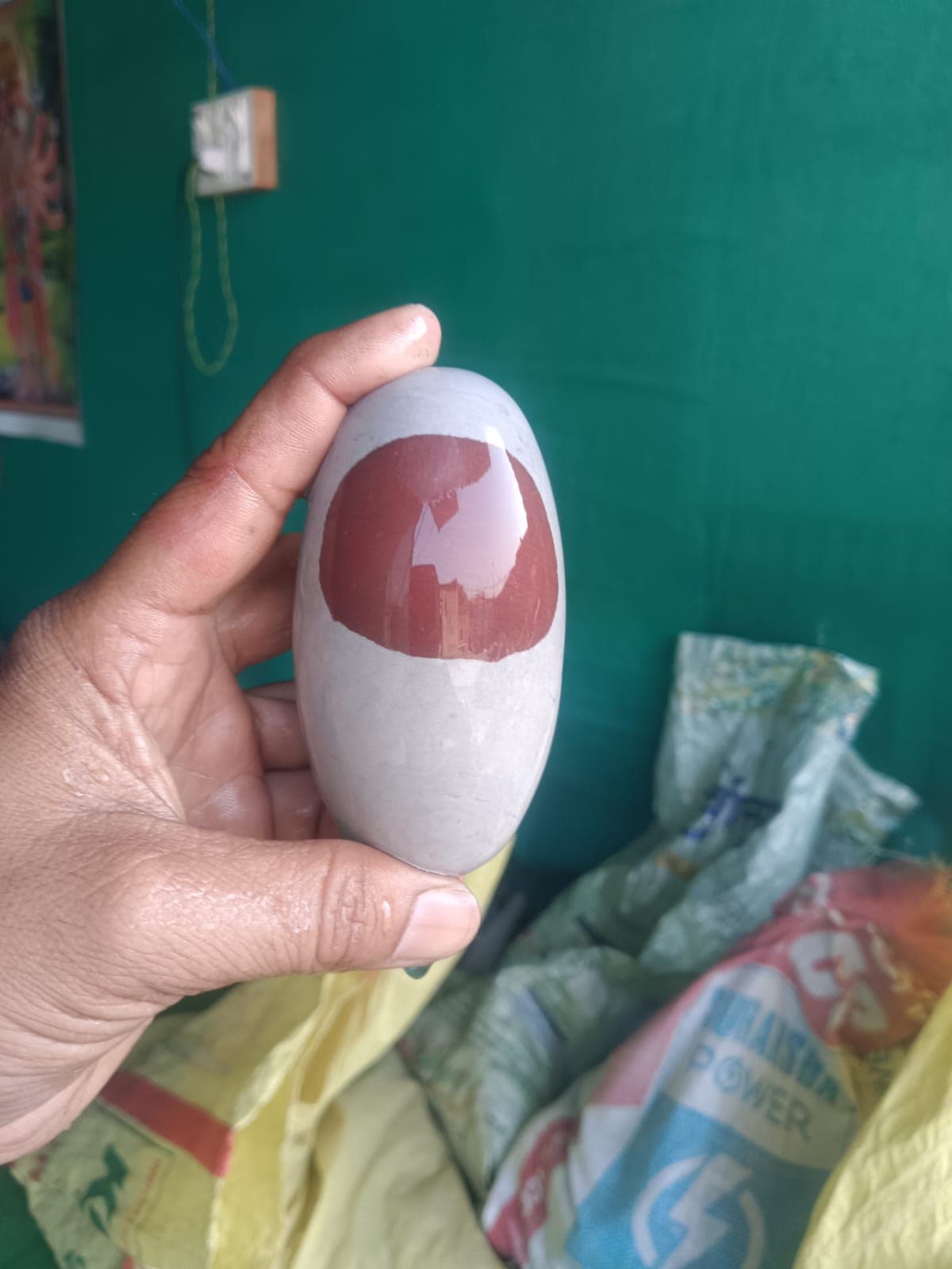 Small cream Narmadeshwar Shivling with a maroon marking held in a palm as a size reference