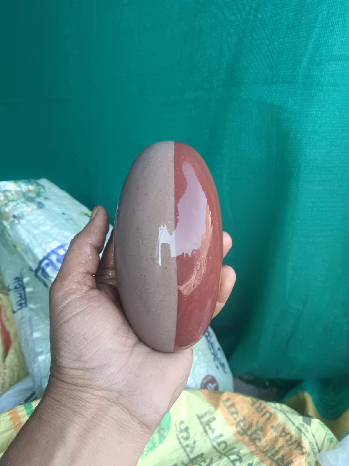 Two-tone grey and red Narmadeshwar Shivling held in hand, polished on one half to show the natural stone